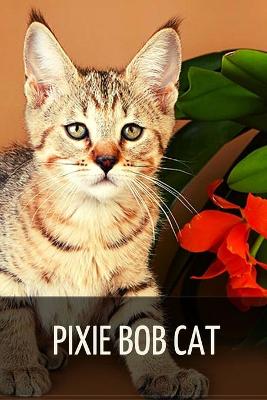 Book cover for Pixie Bob cat