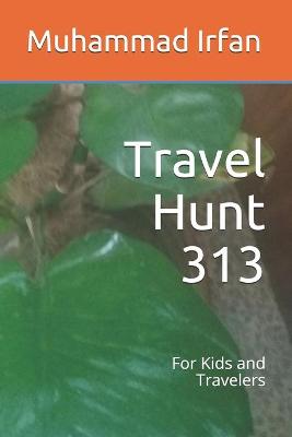 Book cover for Travel Hunt 313