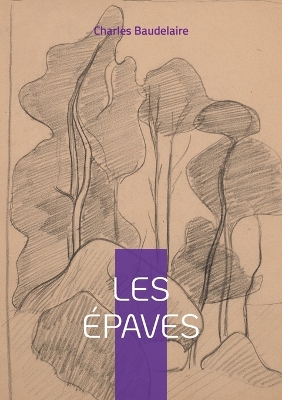 Book cover for Les Épaves