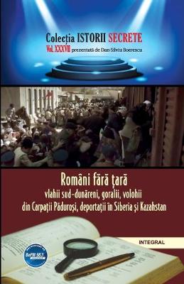 Book cover for Romani fără țară