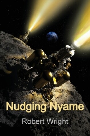 Cover of Nudging Nyame