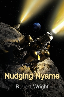 Book cover for Nudging Nyame