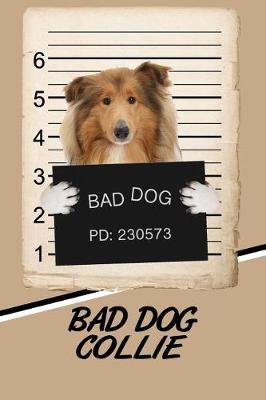 Book cover for Bad Dog Collie