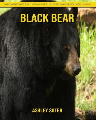 Book cover for Black Bear