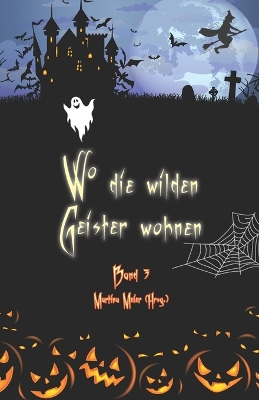 Book cover for Wo die wilden Geister wohnen Band 3