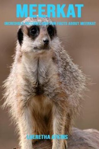 Cover of Meerkat