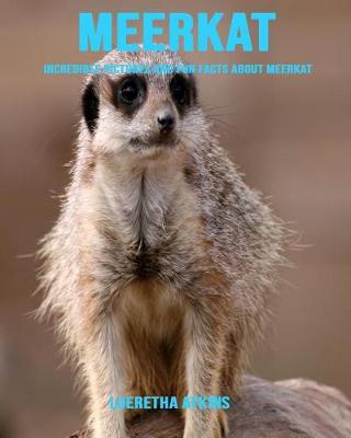 Book cover for Meerkat