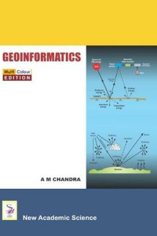 Cover of Geoinformatics