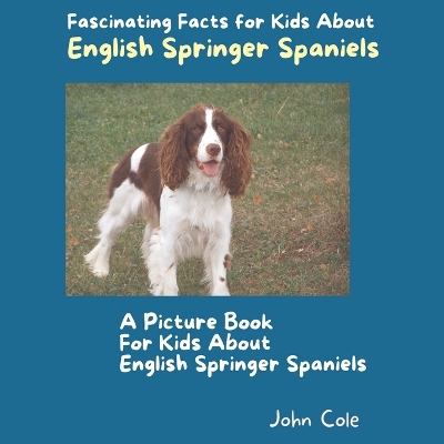 Book cover for A Picture Book for Kids About English Springer Spaniels