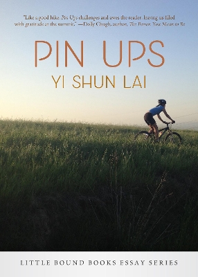 Book cover for Pin Ups