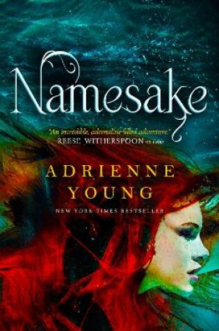 Cover of Namesake (Fable book #2)