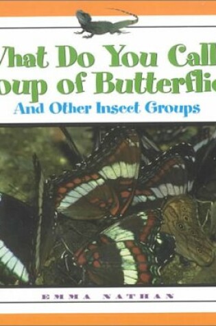 Cover of What Do You Call a Group of Butterflies?