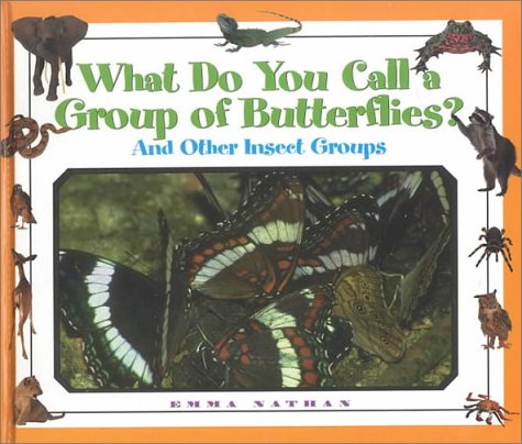 Cover of What Do You Call a Group of Butterflies?