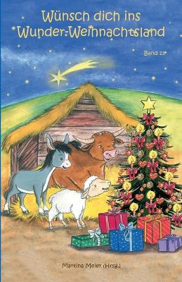 Book cover for Wünsch dich ins Wunder-Weihnachtsland Band 13