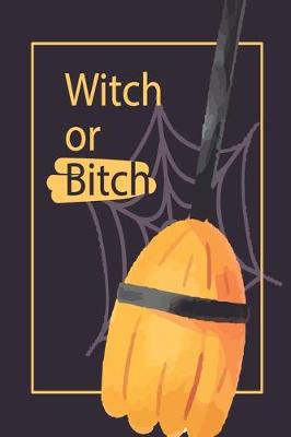 Book cover for Witch or Bitch