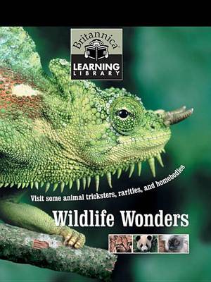 Book cover for Wildlife Wonders