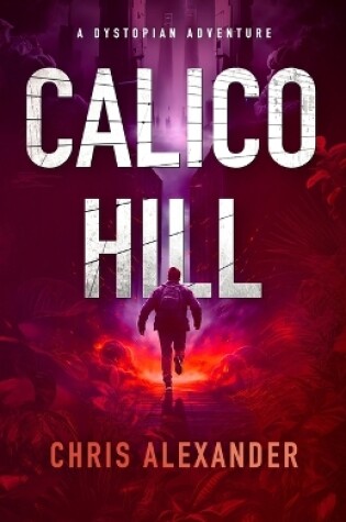 Cover of Calico Hill