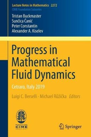 Cover of Progress in Mathematical Fluid Dynamics