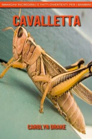 Cover of Cavalletta