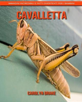 Book cover for Cavalletta