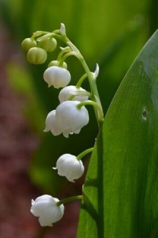 Cover of Lily of the Valley Flowering in May Journal