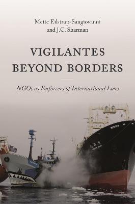 Book cover for Vigilantes beyond Borders