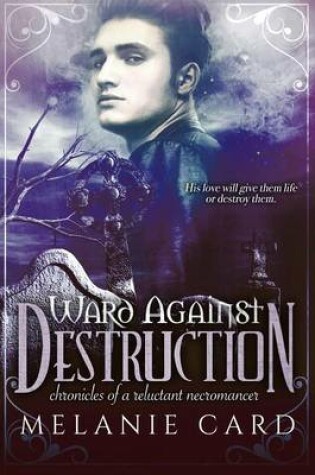 Cover of Ward Against Destruction