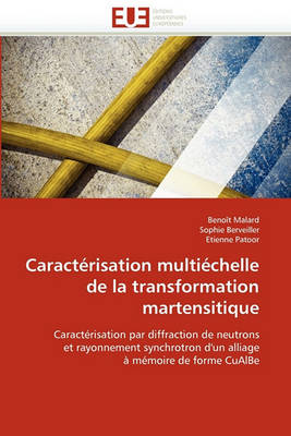 Cover of Caract risation Multi chelle de la Transformation Martensitique