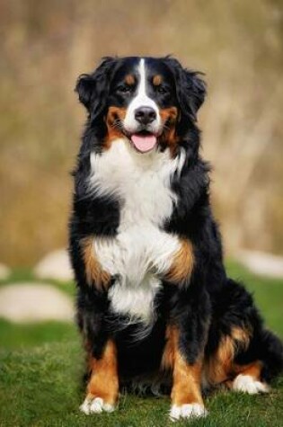 Cover of Bernese Mountain Dog Journal