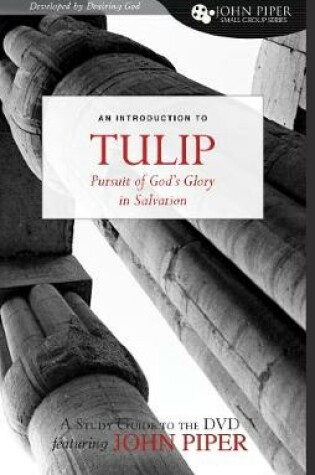 Cover of Tulip