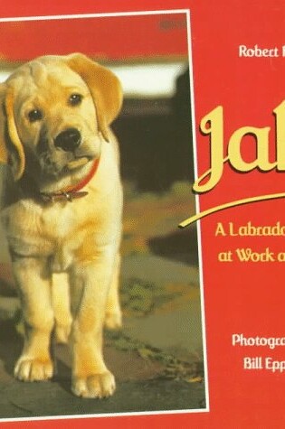 Cover of Jake: a Labrador Puppy at Work and Play