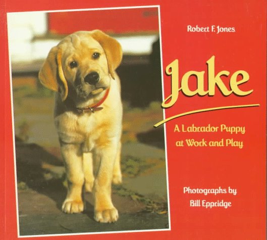 Book cover for Jake: a Labrador Puppy at Work and Play