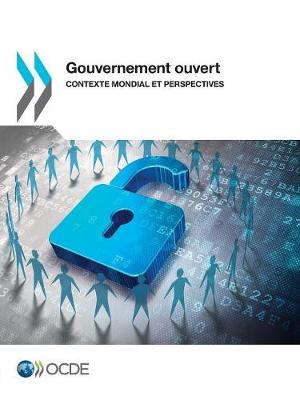 Book cover for Gouvernement ouvert