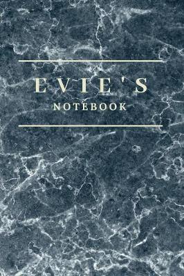 Book cover for Evie's Notebook