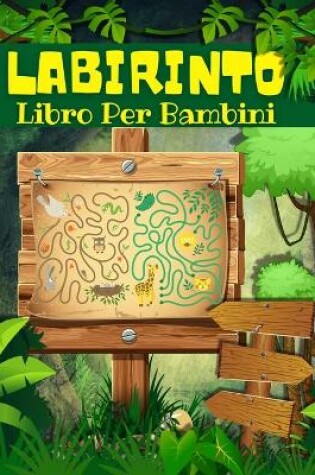 Cover of Labirinto Libro Per Bambini