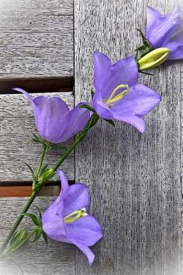 Book cover for Charming Purple Bellflowers Against a Weathered Fence Journal