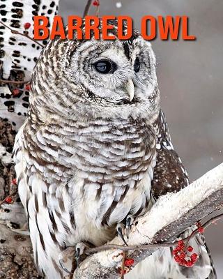 Book cover for Barred Owl