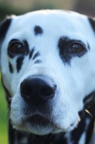 Cover of Dalmatian Dog Journal