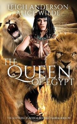 Book cover for The Queen of Egypt