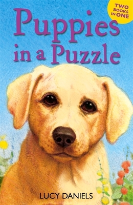 Cover of Puppies in a Puzzle