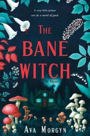 Cover of The Bane Witch