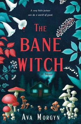 Book cover for The Bane Witch