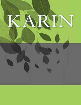 Book cover for Karin