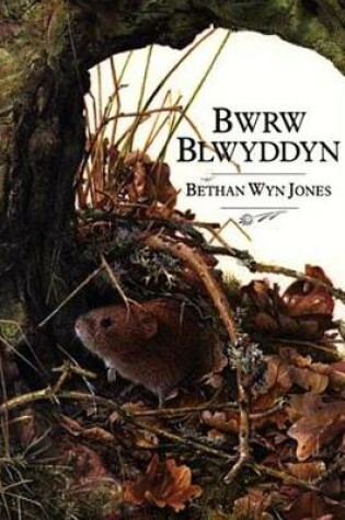 Cover of Bwrw Blwyddyn