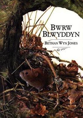 Book cover for Bwrw Blwyddyn