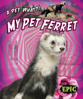 Book cover for My Pet Ferret