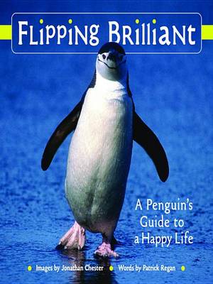 Cover of Flipping Brilliant