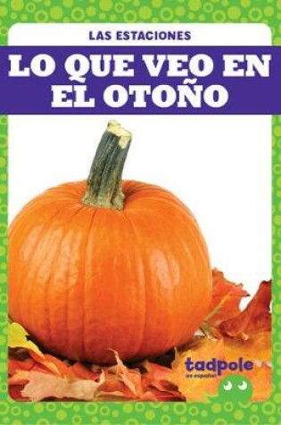 Cover of Lo Que Veo En El Otoño (What I See Fall)