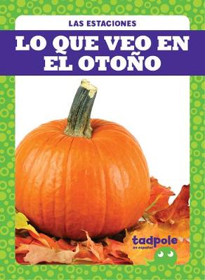 Book cover for Lo Que Veo En El Otoño (What I See Fall)