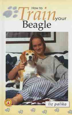 Book cover for How to Train Your Beagle